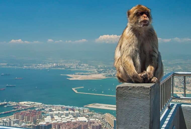 Gibraltar Paves Way for Regulation of Crypto and DLT Companies