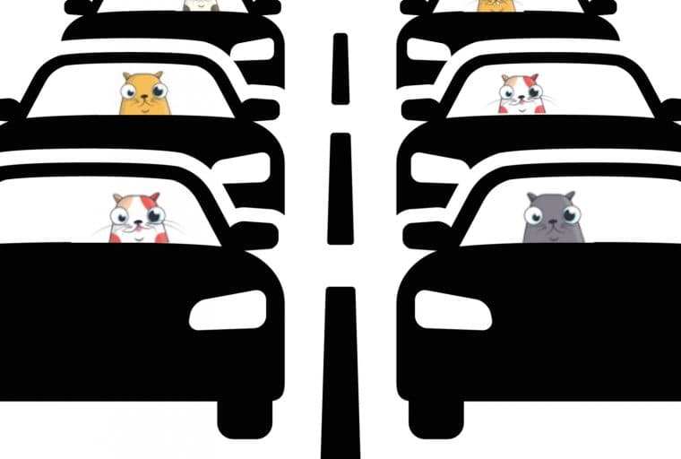 The Ethereum Blockchain is Congested by Cats