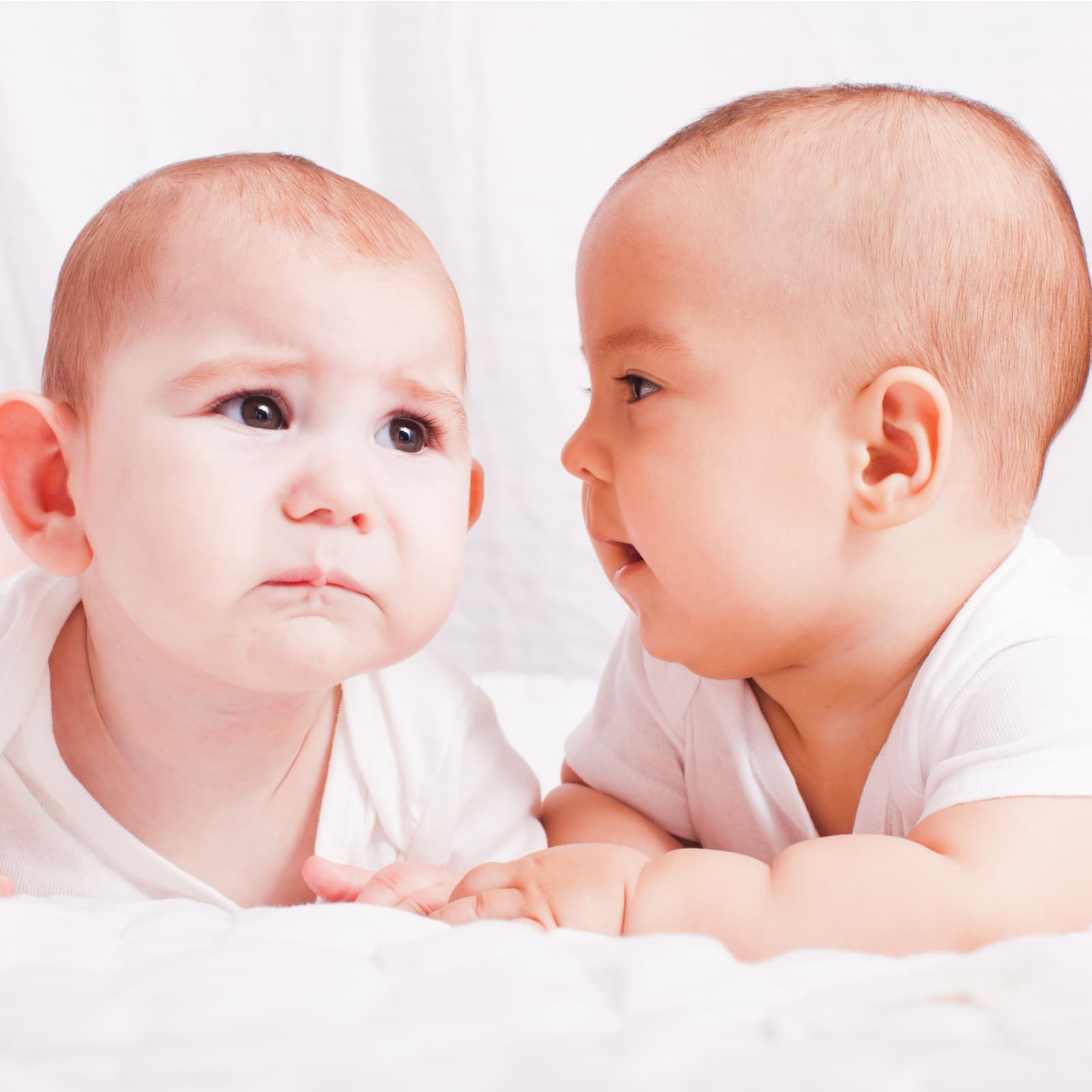 Bitcoin Glossary: You’ve Heard of Crypto Mania – Now Say Hello to Cryptophasia