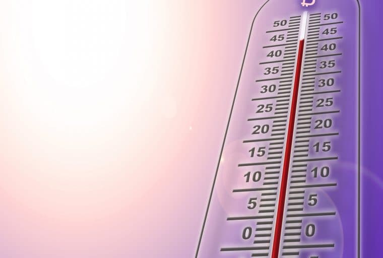 India's Bitcoin Fever Sees Trade Volumes and Exchange Sign-ups Spike