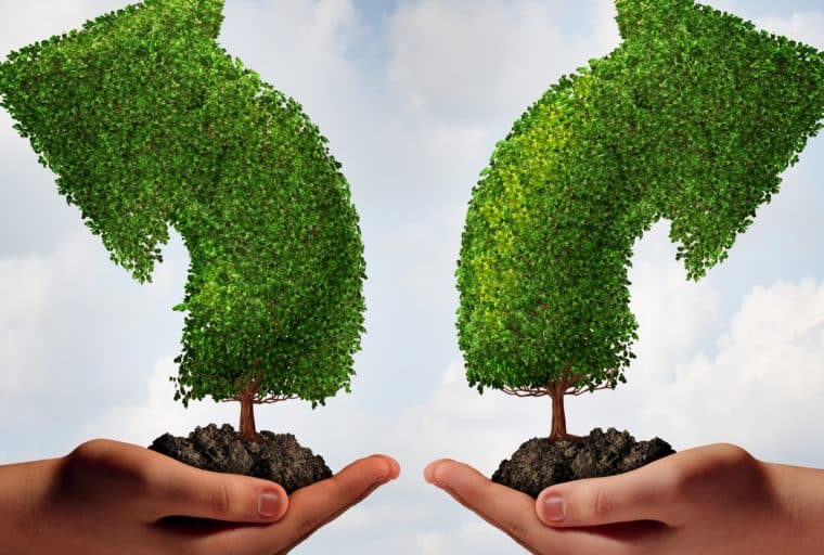 Blockexplorer.com Declares a Preference for Bitcoin Cash Over "Blockstream Fork"