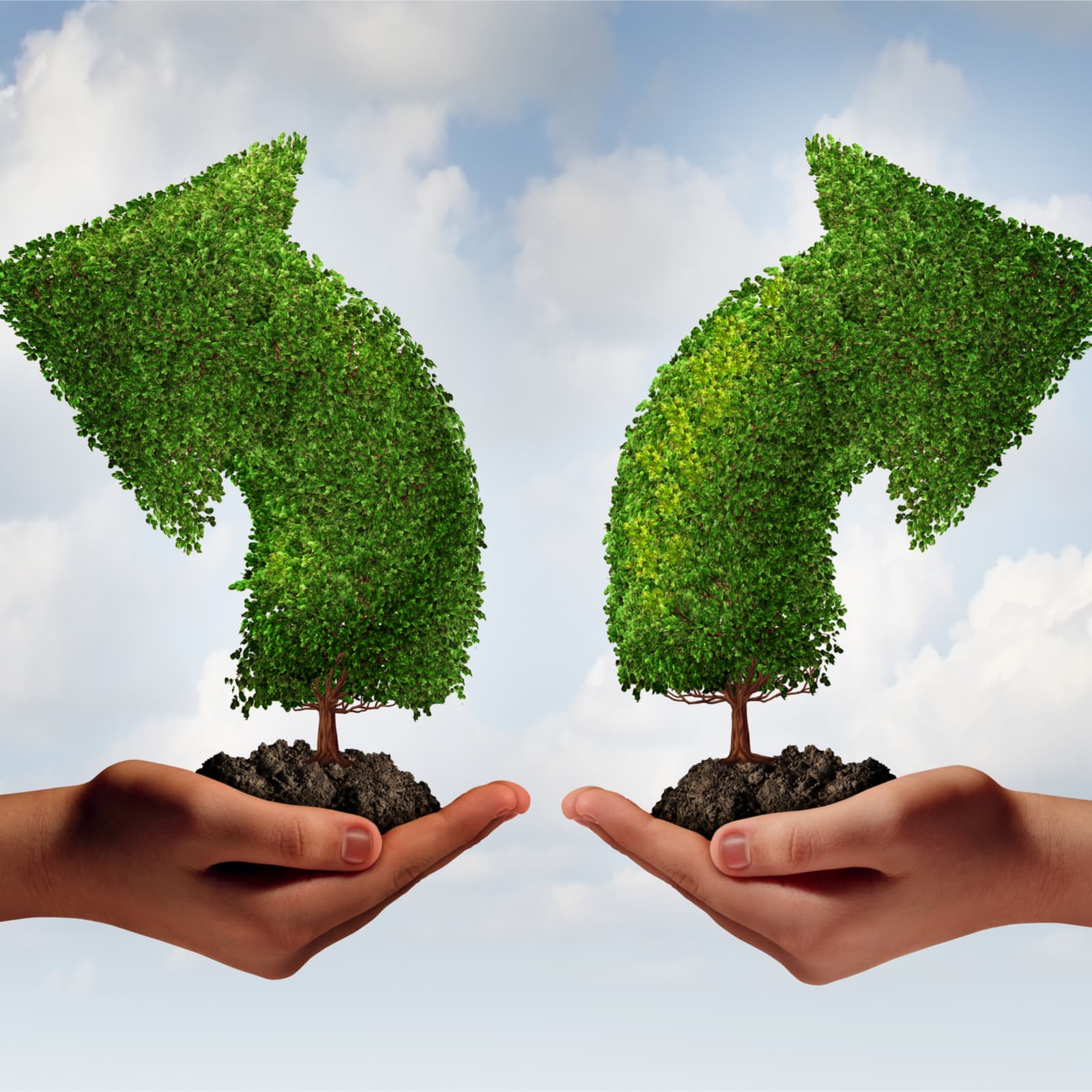 Blockexplorer.com Declares a Preference for Bitcoin Cash Over "Blockstream Fork"