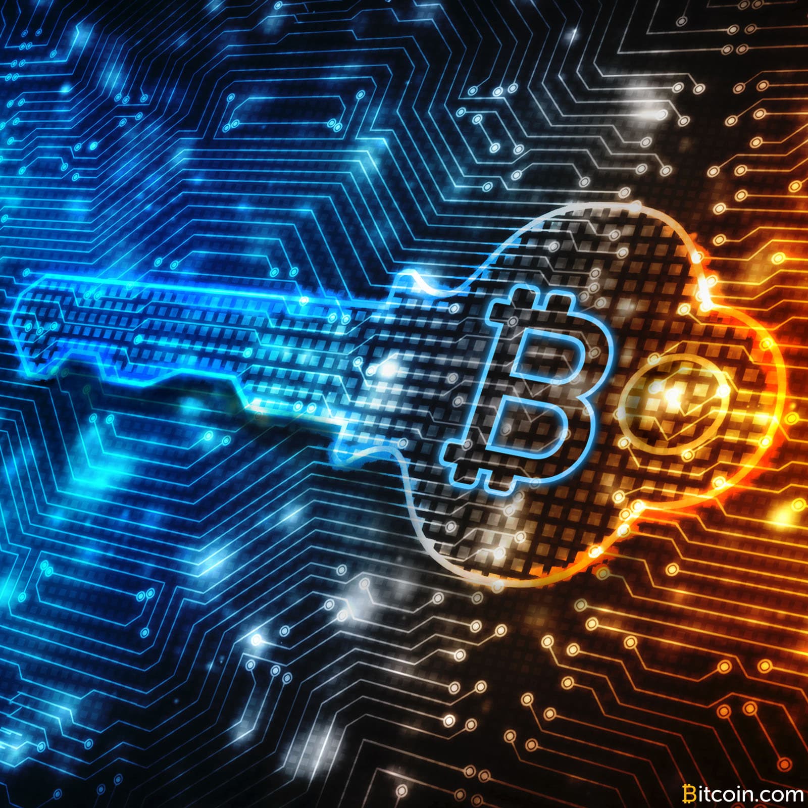 The Satoshi Revolution – Chapter 4: What Do You Have to Hide? Everything! (Part 1)