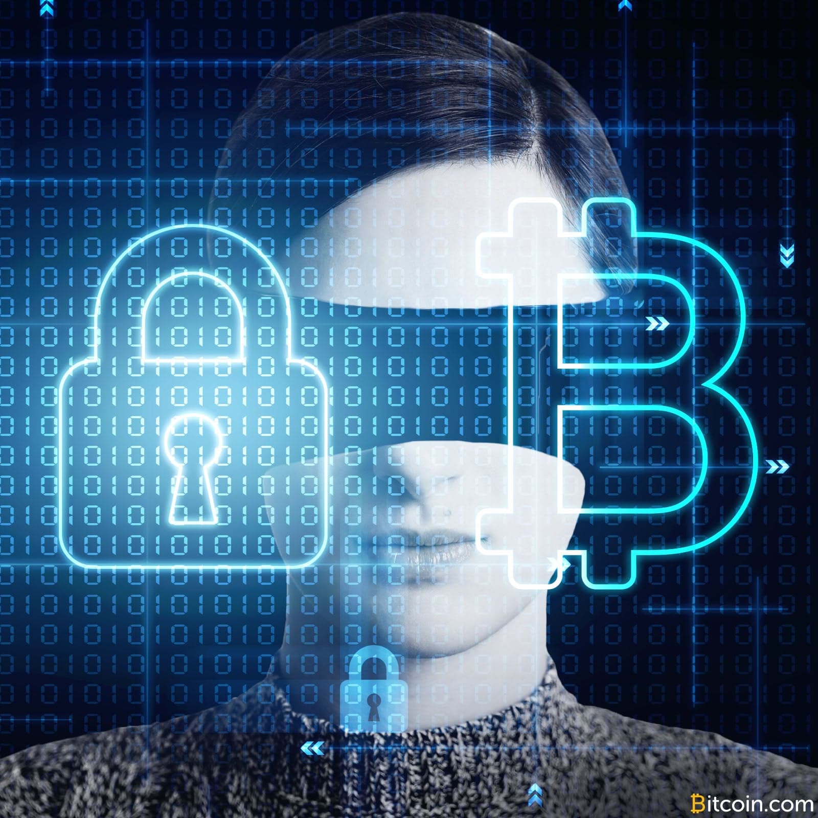 The Satoshi Revolution – Chapter 4: Crypto. A New Paradigm of Privacy and ID (Part 2)