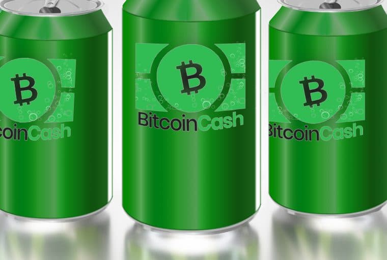 Bitcoin Cash Supporters Prepare for the Network's Next Six Months