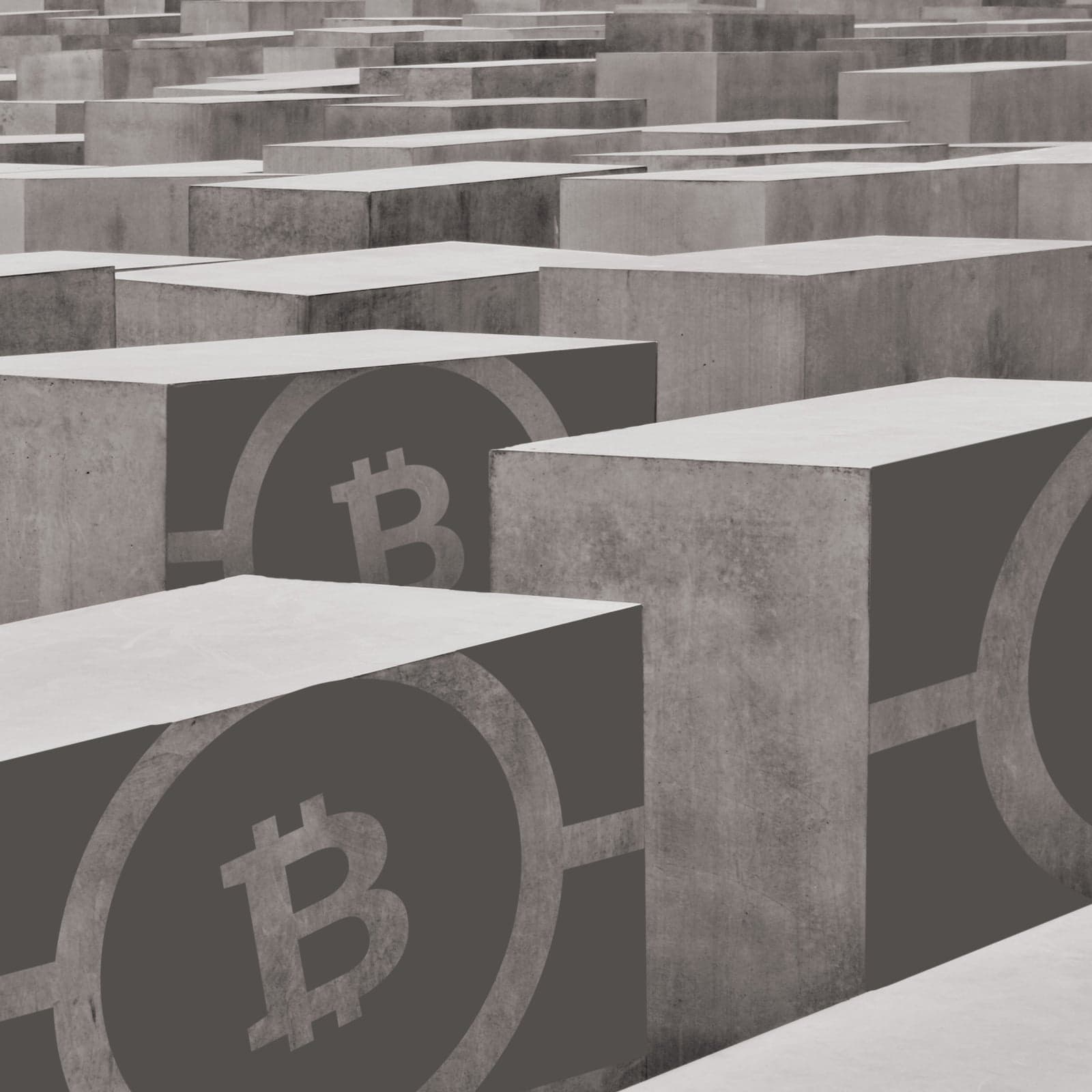 Bitcoin Cash Miners Process Big Blocks Past 24h - Volume Approaches Litecoin