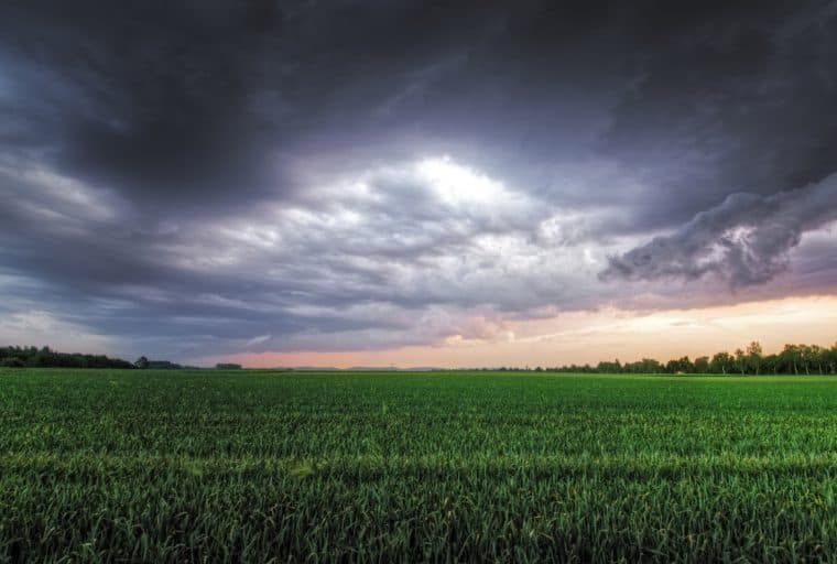 SEC Chairman Signals a Storm Coming for Fly-by-Night Blockchain ICOs