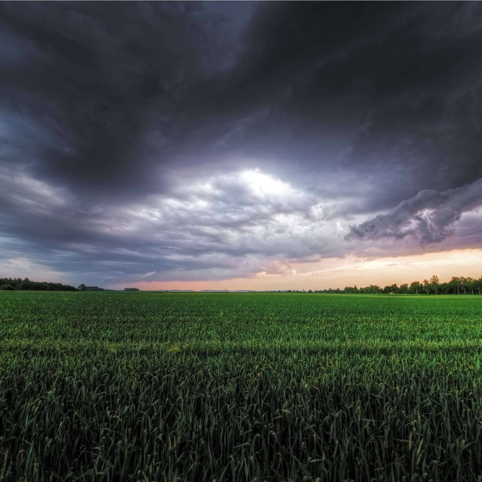 SEC Chairman Signals a Storm Coming for Fly-by-Night Blockchain ICOs