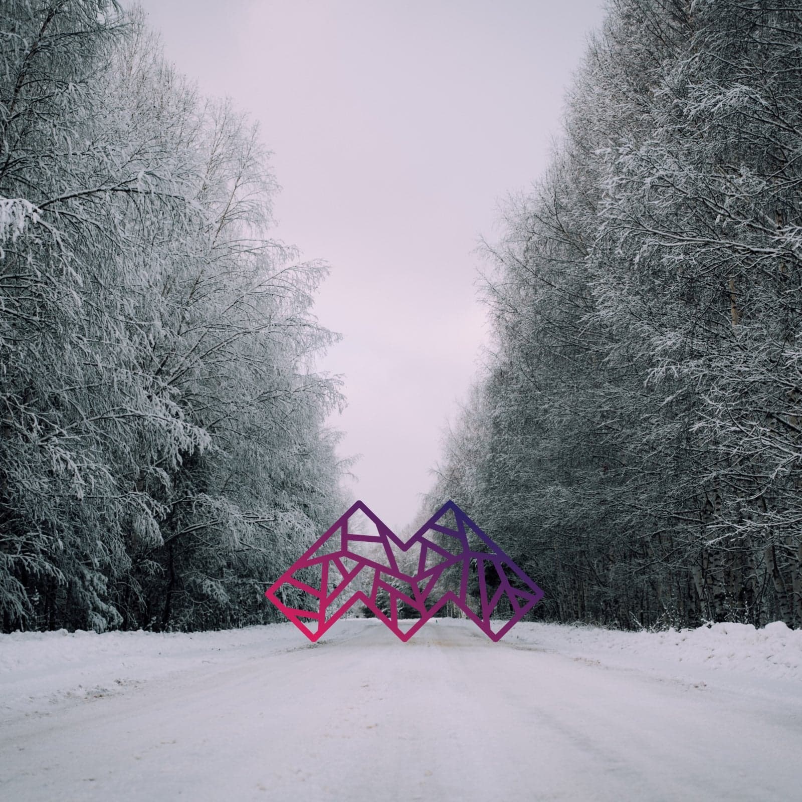 Bittrex’ Delisting Policy Leaves Cryptocurrencies Out in the Cold