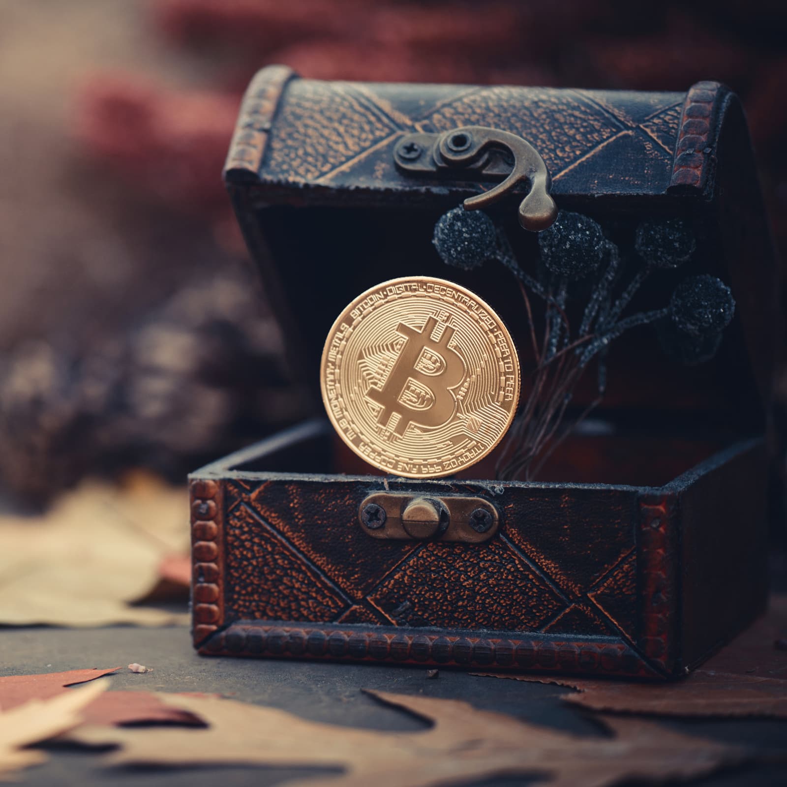 How to Dollar-Cost Average Buy and Hodl Cryptocurrency Like A Boss