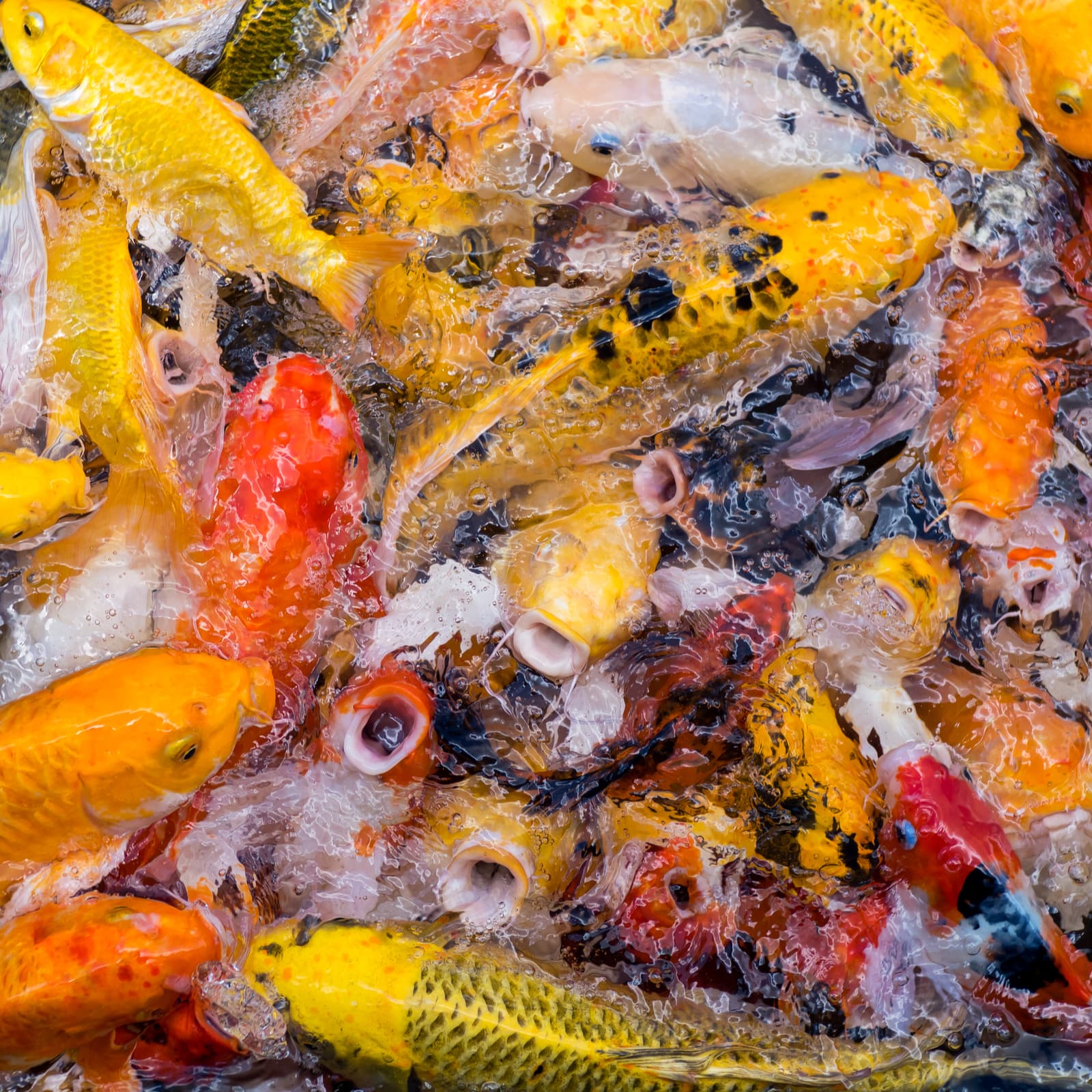 Ethereum Network Congestion Forces Exchanges to Halt Withdrawals