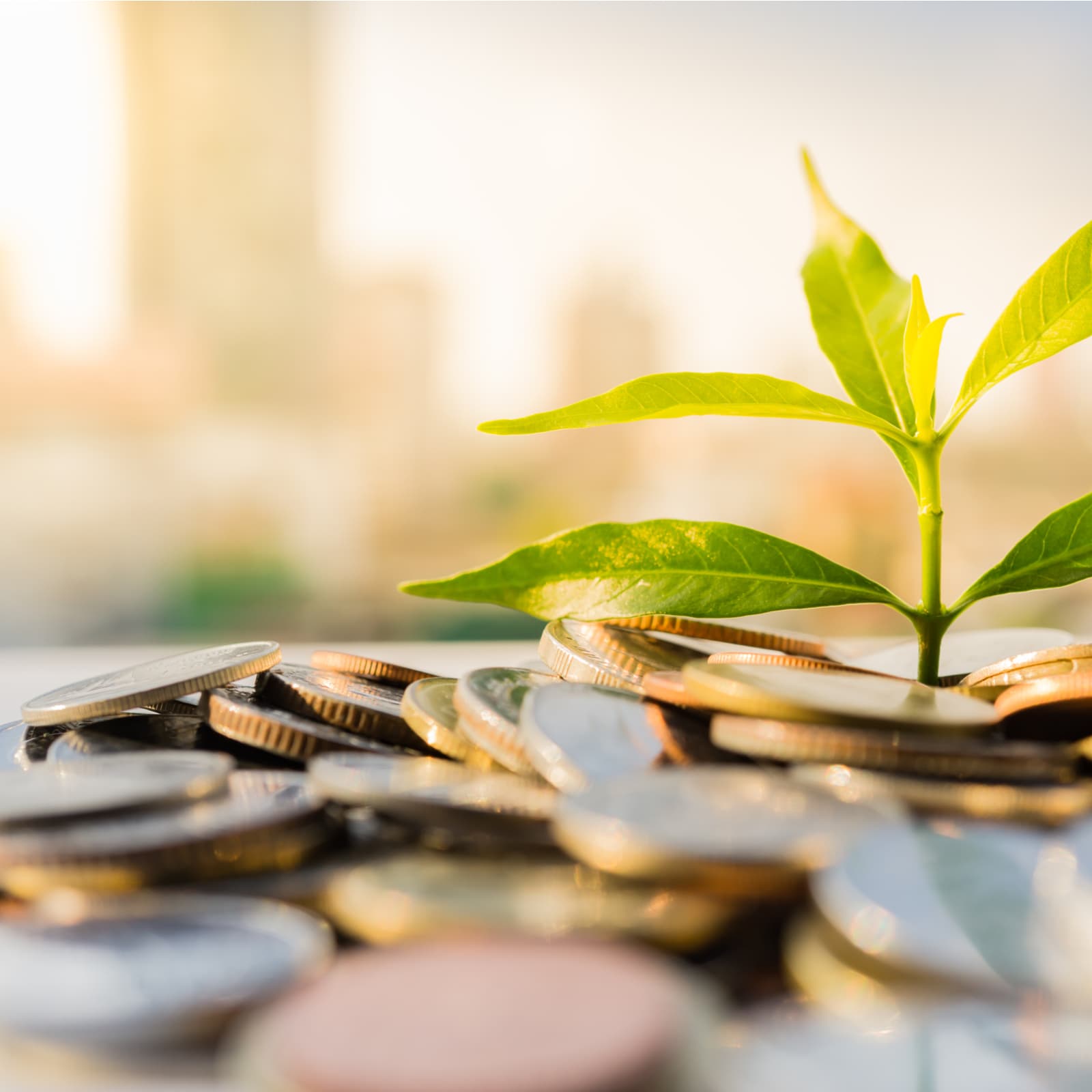 Social Network Yours.org Raises $1.5m to Introduce Cryptocurrency to the Masses