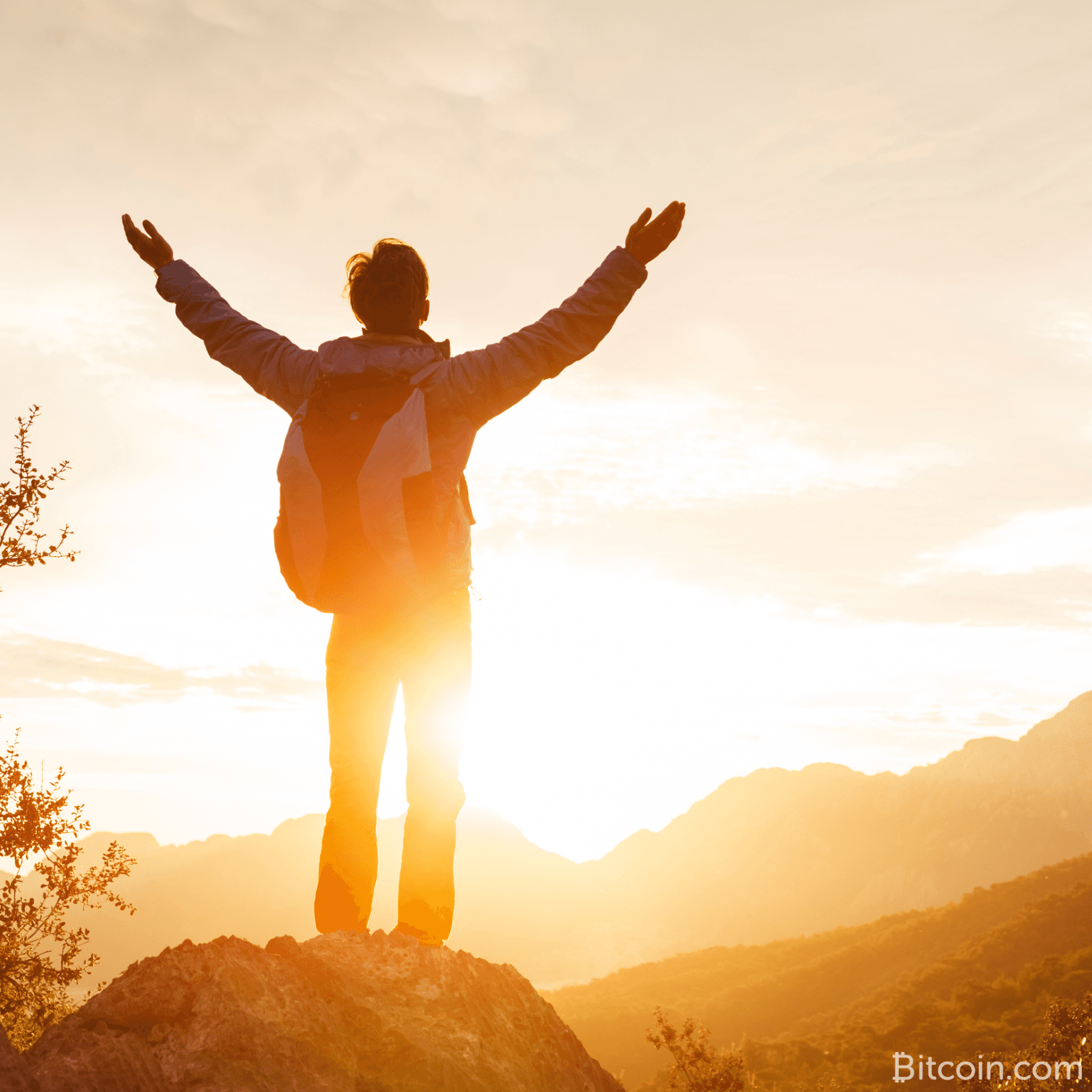 Despite Regulations, One South Korean Crypto Exchange Rises to the Global Top