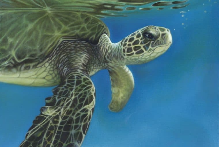 Bitcoin Futures’ Future: Slow, Measured, No Mom and Pop Investors