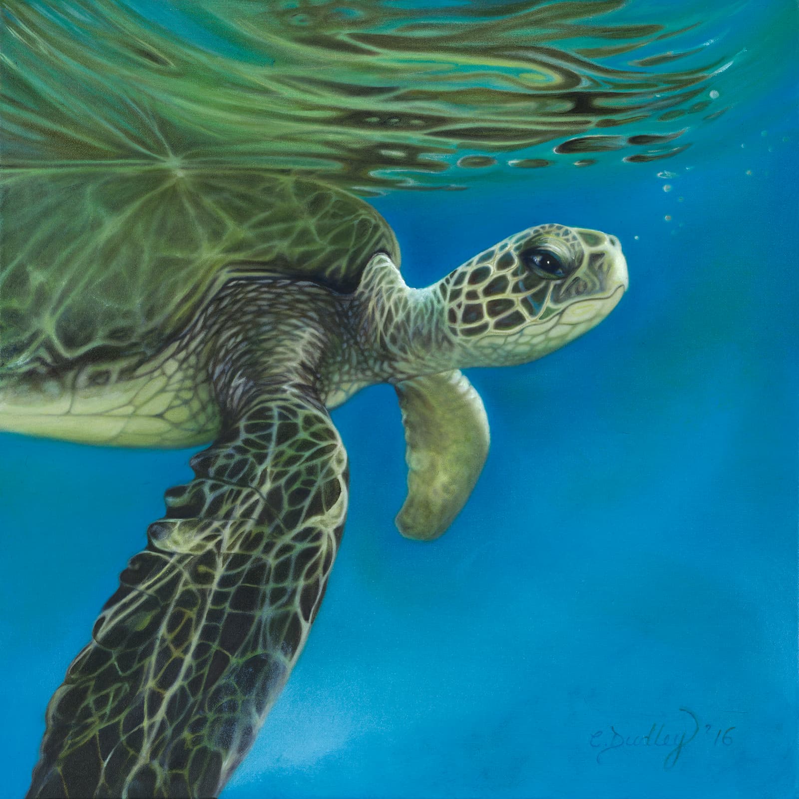 Bitcoin Futures’ Future: Slow, Measured, No Mom and Pop Investors