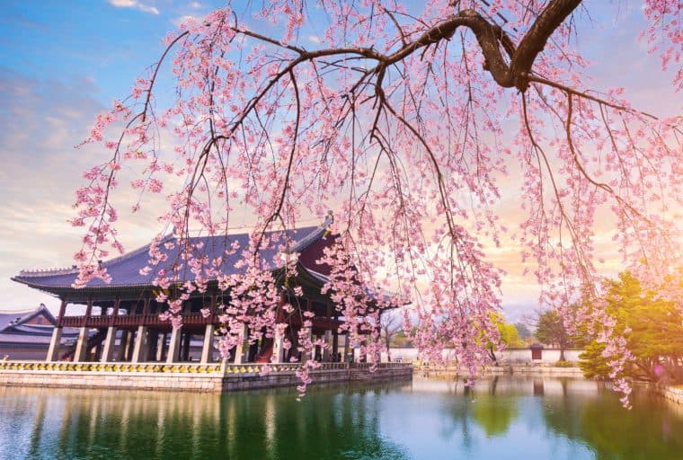 Cryptocurrency Regulator Found Dead at His Home in South Korea