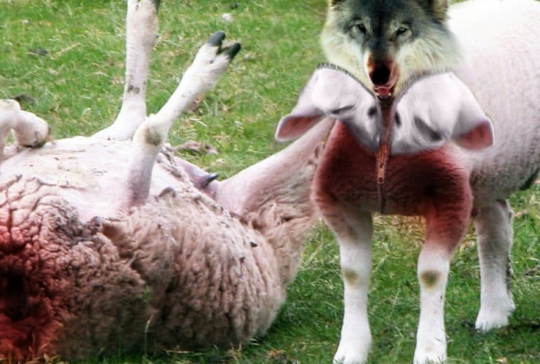 US Bitcoin Futures Regulator Allows Employees to Trade Crypto