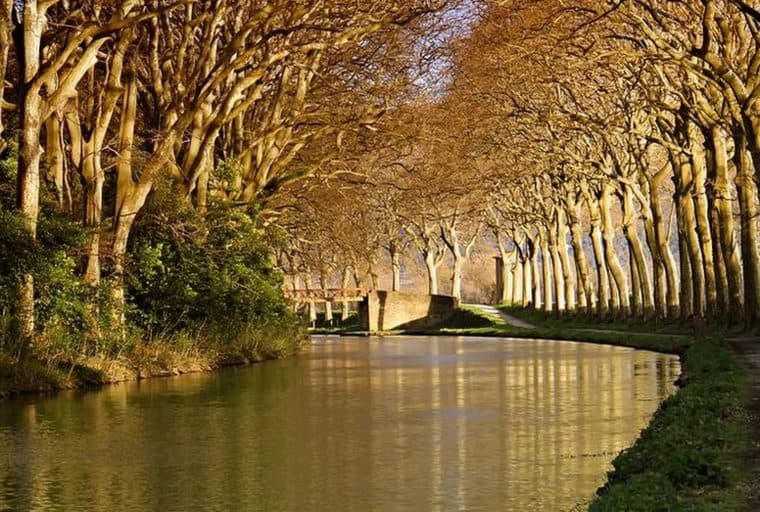 France Cracks Down on Bitcoin Derivatives