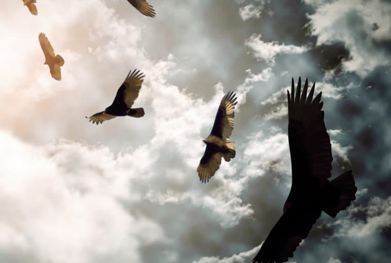 The Cryptocurrency Markets Are Having an Interesting Week