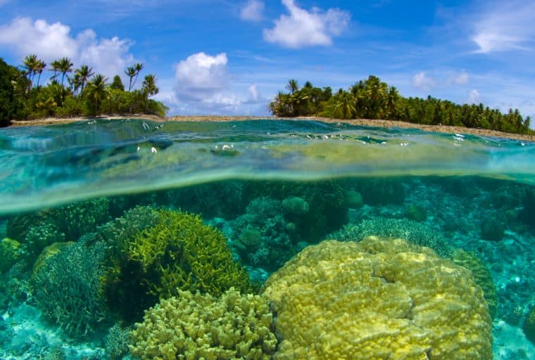 Offshore Tax Haven Marshall Islands to Issue National Cryptocurrency