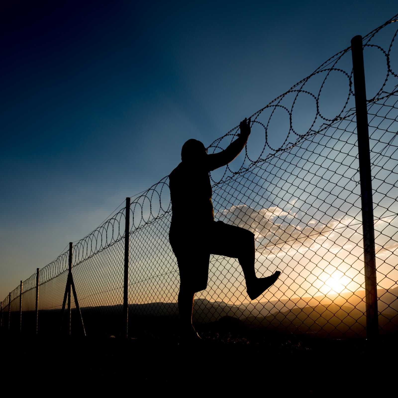 Kathleen Breitman: Tezos Will “Go Rogue” and Launch Soon