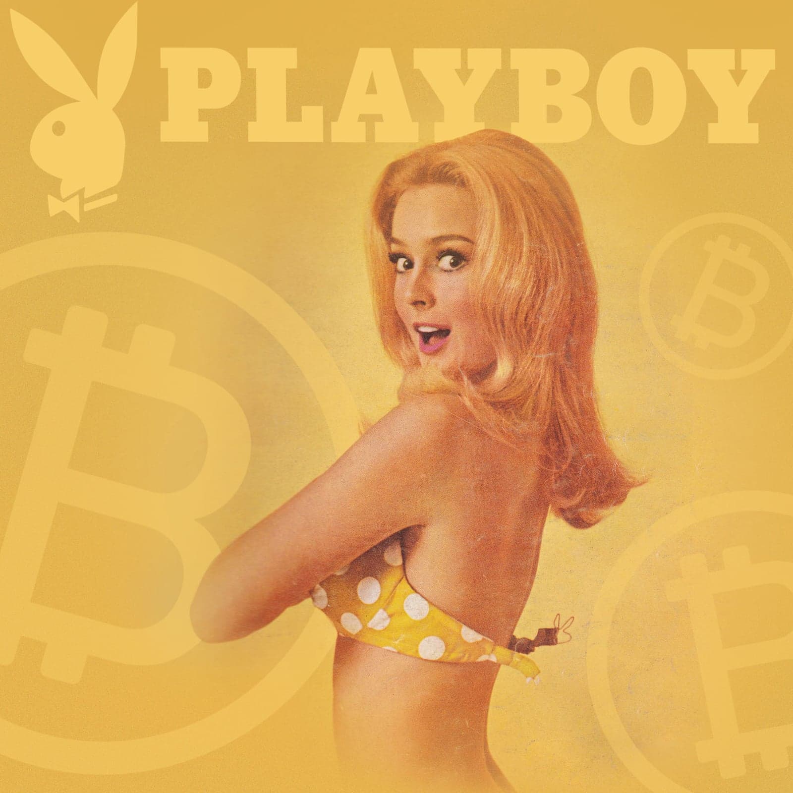 Playboy Plans to Integrate Multi-Cryptocurrency Wallet