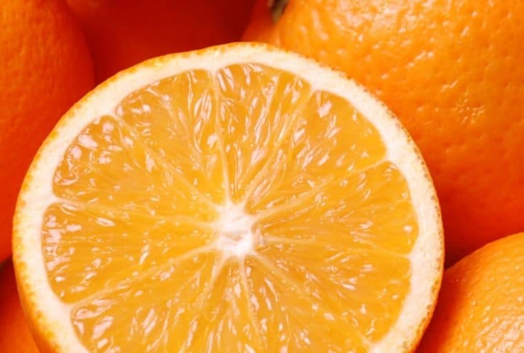 Florida State Citrus Employee Arrested for Mining Cryptocurrencies