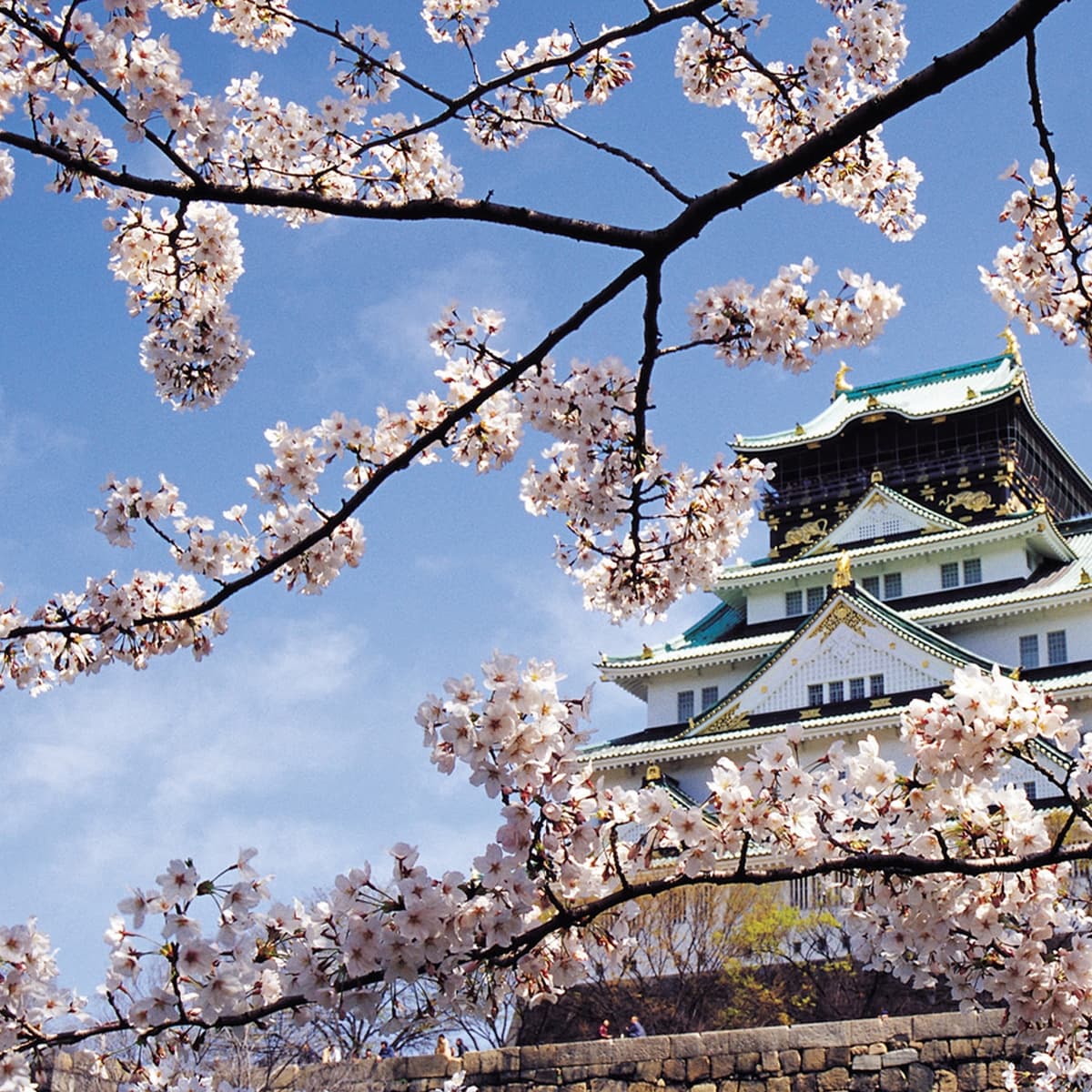 Satoshi's Vision 2018 Conference Report: Bolstering the Future of Adoption