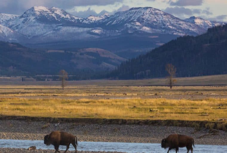 US State Exempts Cryptocurrencies From Property Taxes