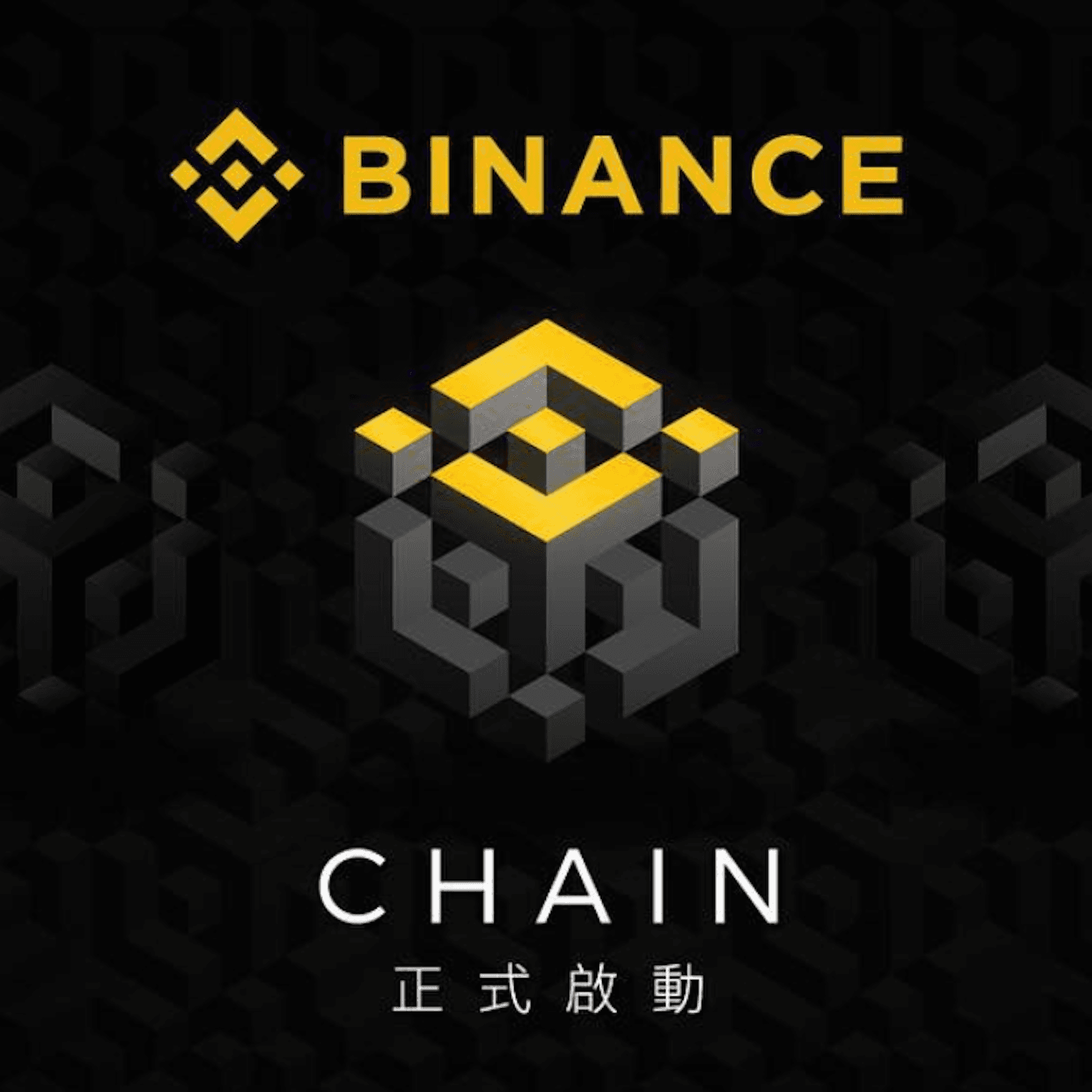 Binance Is Launching Its Own Blockchain