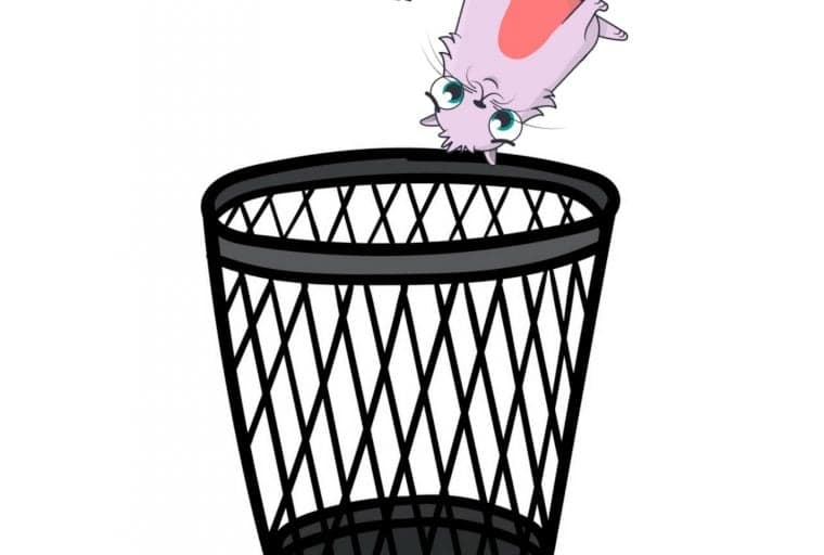 Crypto Collectibles Are Worthless Without a Website