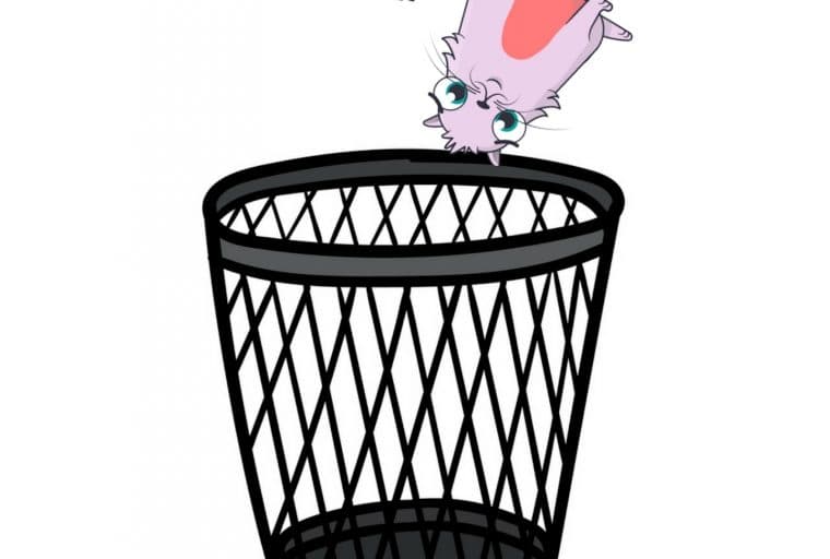 Crypto Collectibles Are Worthless Without a Website