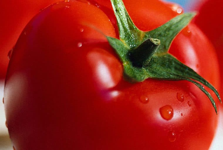 'Cryptomatoes' Using Excess Mining Heat to Grow Produce