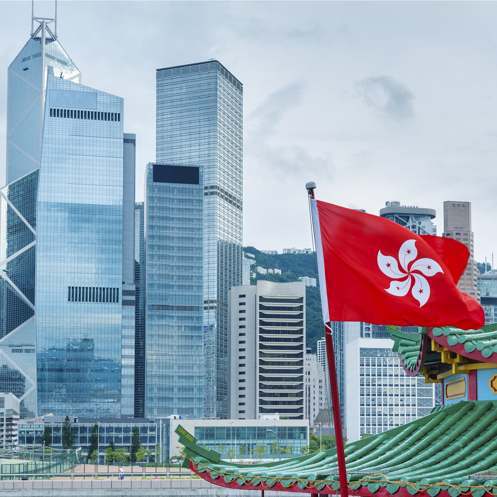 Hong Kong Regulator Halts ICO