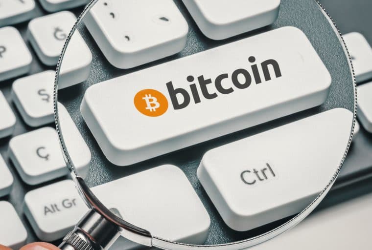 South African Google Searches for Bitcoin Spike Amid Economic Uncertainty