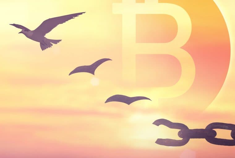 Wendy McElroy: Here, There Is No State