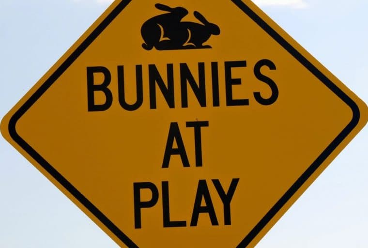 The Notorious Bunny Ranch Brothel Now Accepts Bitcoin