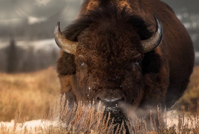 Markets Update: Cryptocurrencies Bring Bullish Gains This Spring