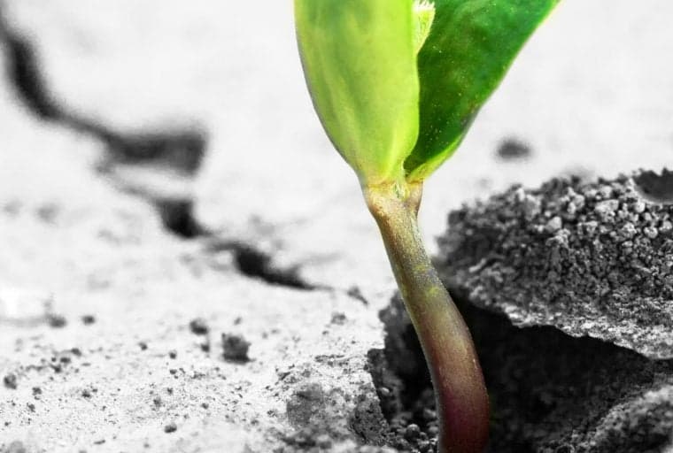 Coinbase Uses Crypto Winter to Expand – Acquires Decentralized Wallet Startup