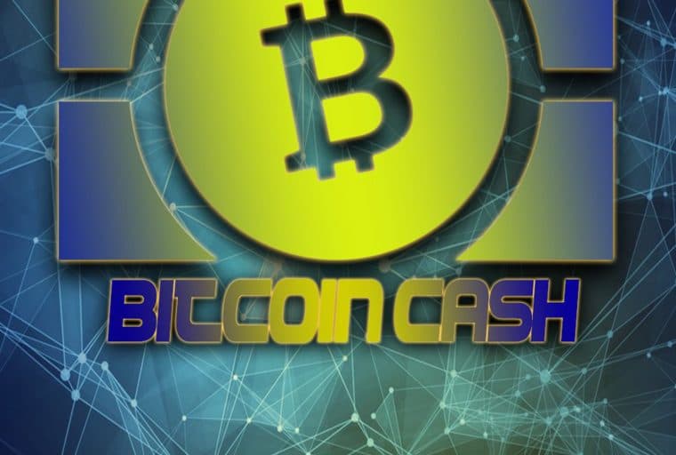 ABC Developer Amaury Séchet on the Future of Bitcoin Cash