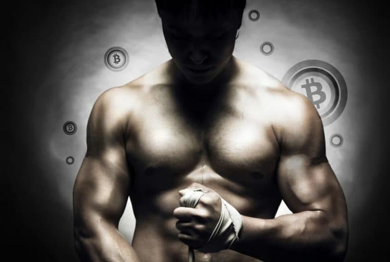 New Karate Combat League Arena Features Bitcoin Symbol