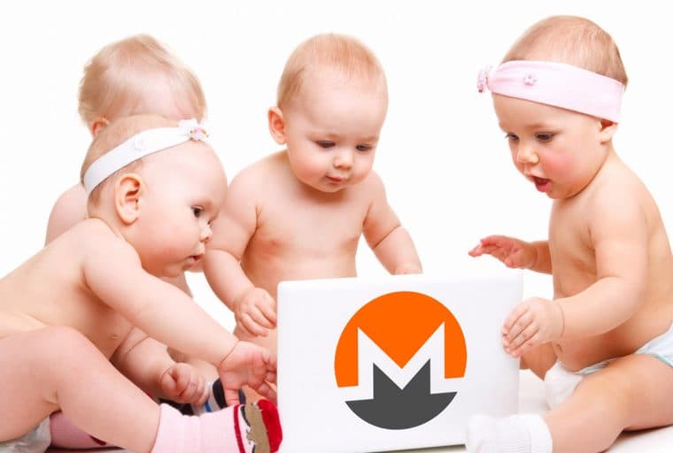 Privacy-Centric Coin XMR Splits Into Four Different Monero Protocols