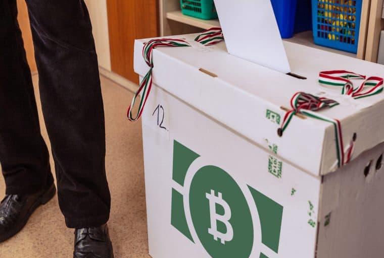 14-Year-Old Developer Builds Uncensorable Voting Platform