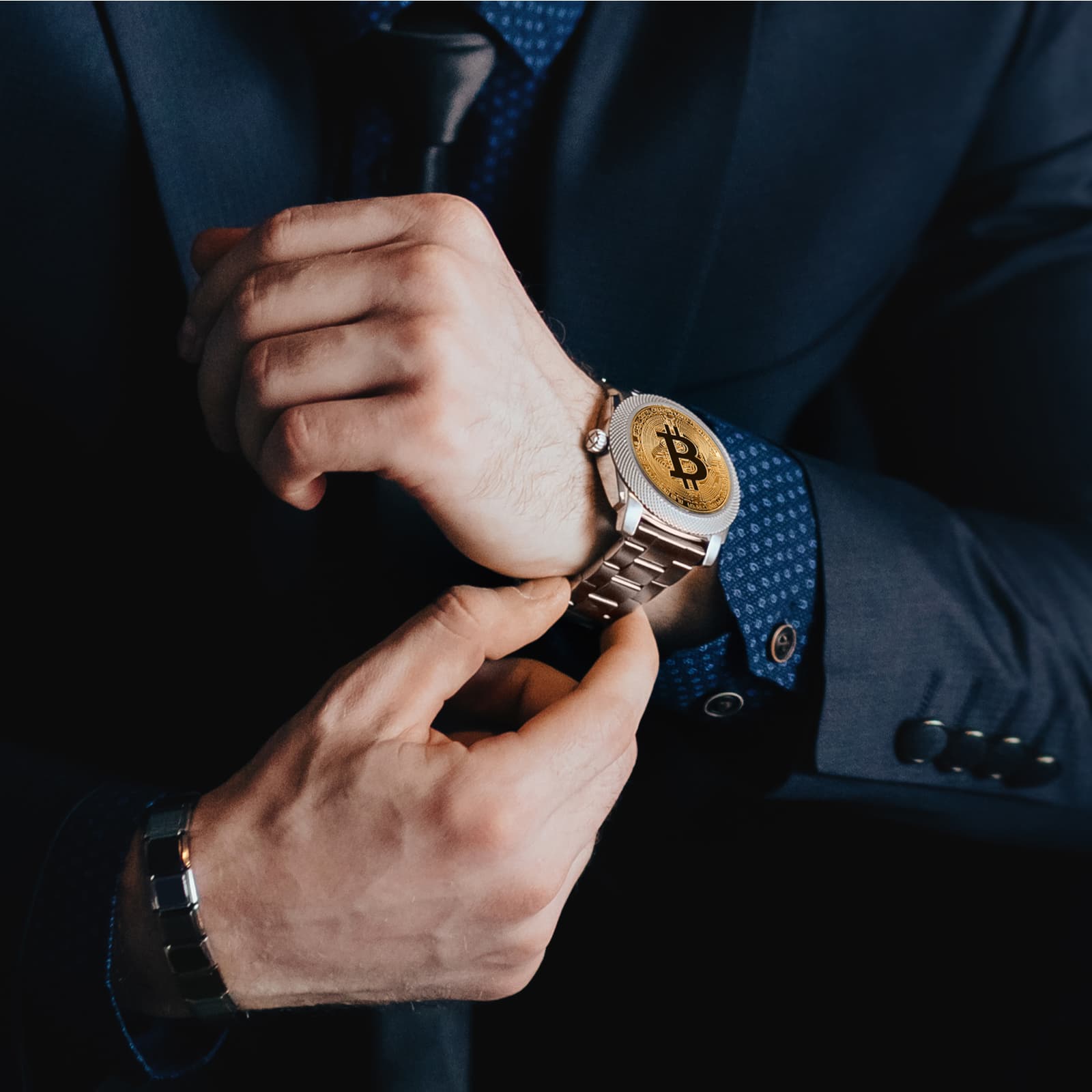 Bitcoin in Brief Tuesday: Blockchain Wars and a Sleuth of Bears