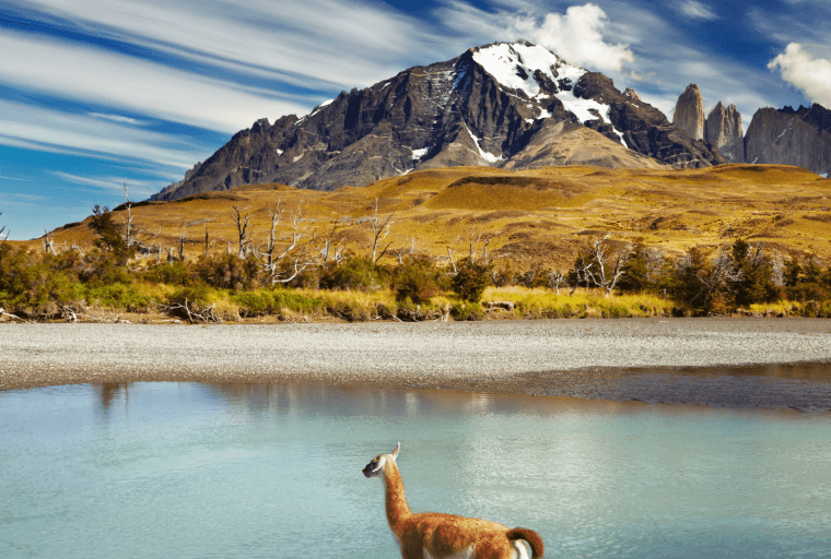 Chilean Minister Supports Cryptocurrencies After Court Sided With Exchanges