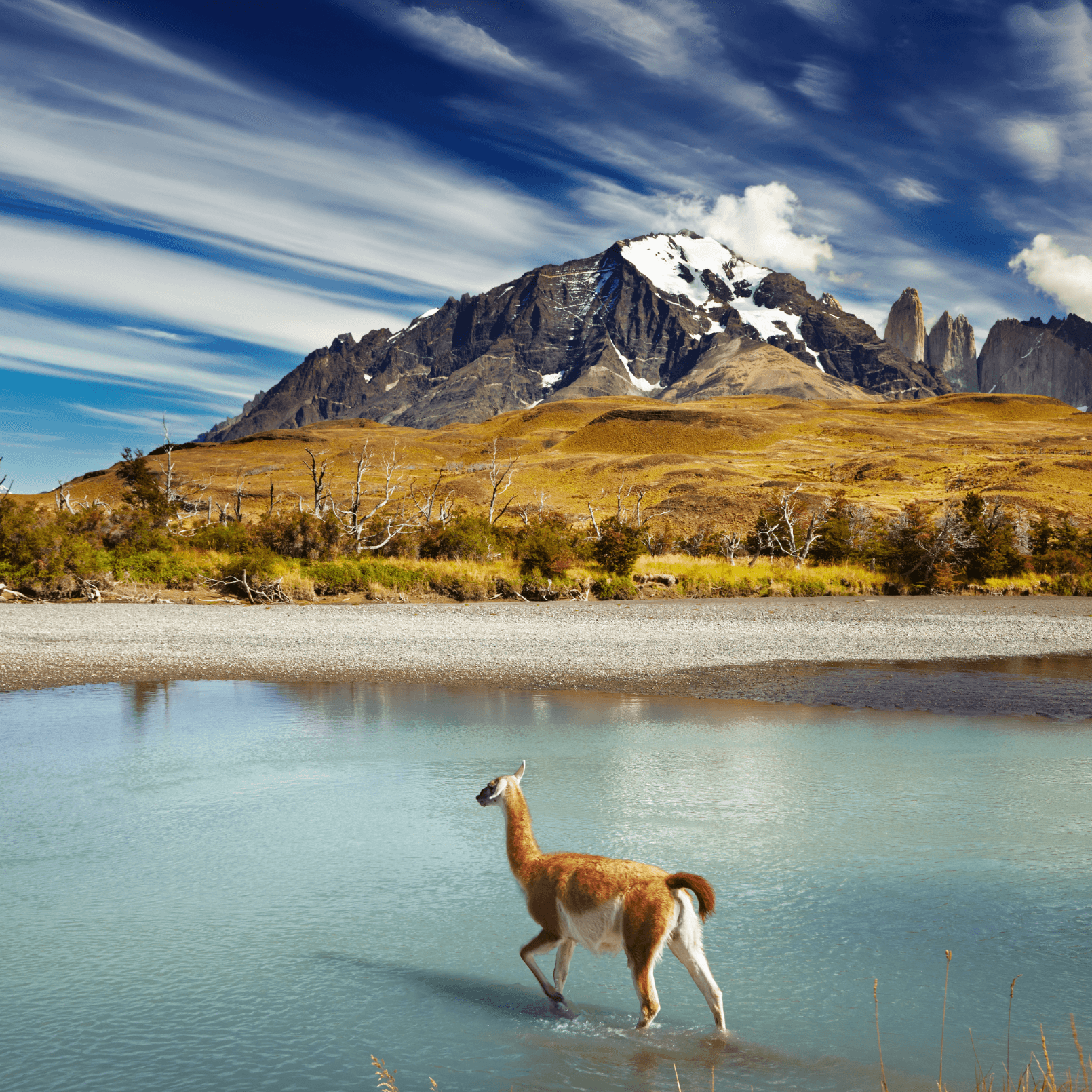 Chilean Minister Supports Cryptocurrencies After Court Sided With Exchanges