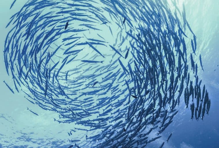 How Bitcoin Cash Can Avoid the Same Mistakes as Bitcoin Core, Part 1