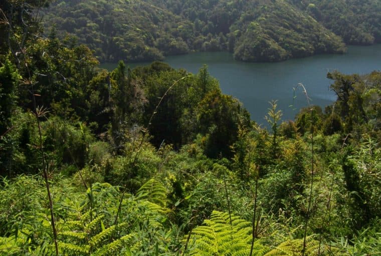 Microsociety Fort Galt in Chile Uses Bitcoin to Build Anew