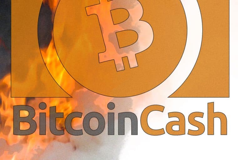 Antpool Begins Burning BCH Network Fees Increasing Digital Scarcity