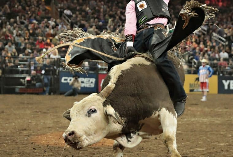 Saxo Investment Bank is Bullish on Crypto Over Next 3 Months